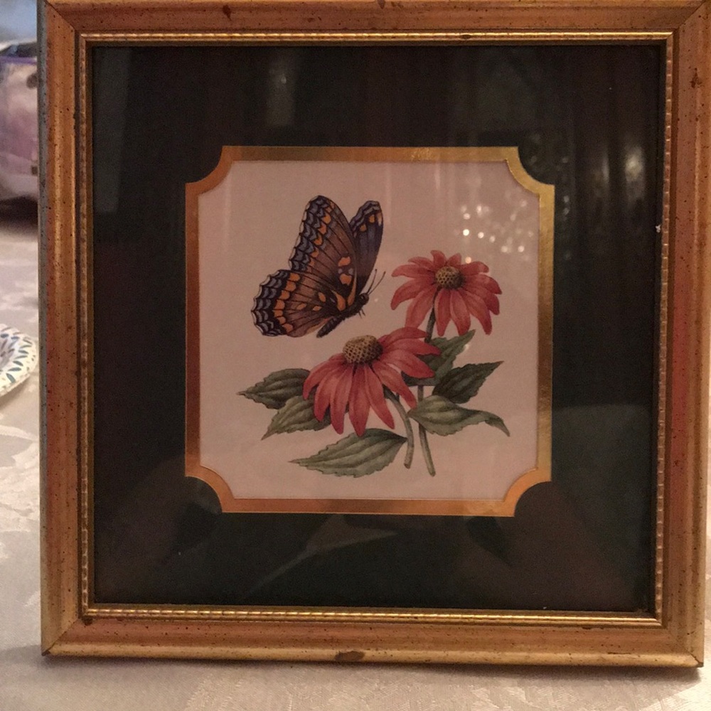 Print by Kathy Seek “Red-Spotted Purple “.